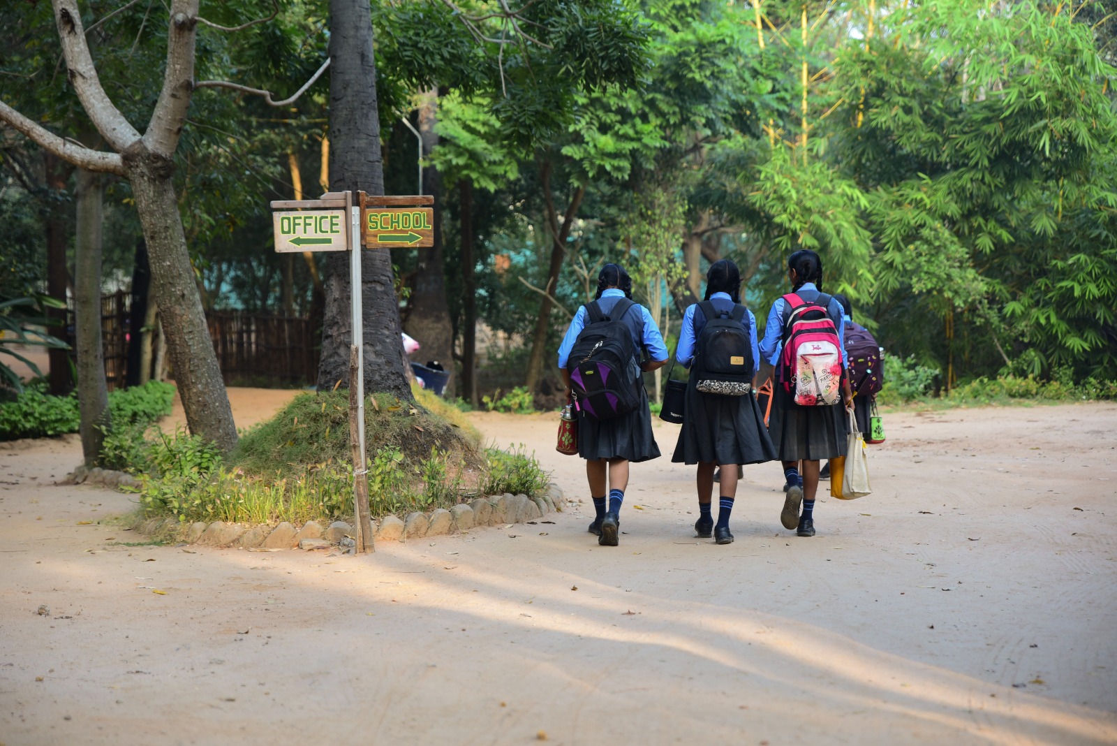 Children walking under lush tree canopies at Akshara Vidyaashram